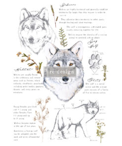 Trasferibile "GRAY WOLF" - ReDesign with Prima