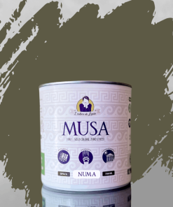 vernice MUSA 3 in 1 multisuperficie