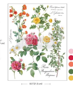 Trasferibile 1 foglio A4 H2O "POETRY IN PETALS" - ReDesign with Prima
