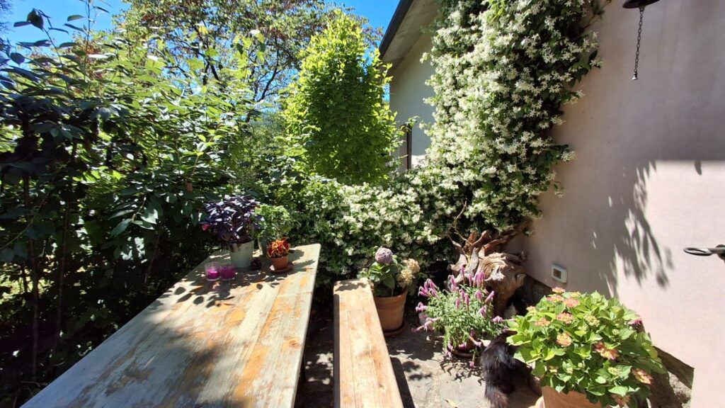 Tavolo e panche da giardino trascurate da rinnovare