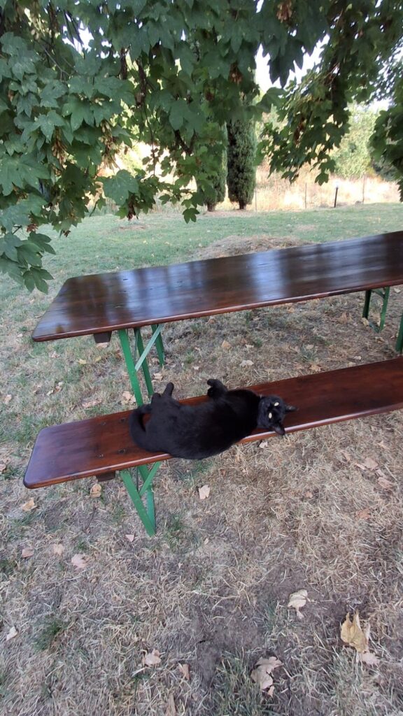 impregnante legno venature per tavolo da giardino rovinato