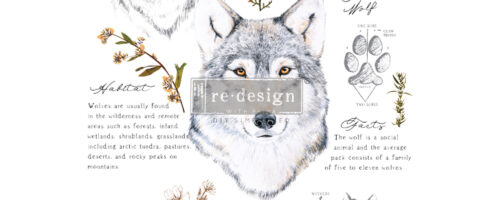 655350646226-gray-wolf-transfer-large