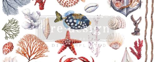 Amazing Sea Life 655350655945