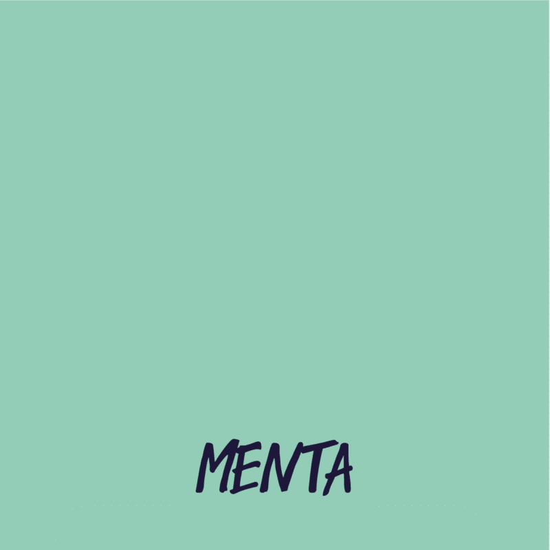 chalk paint vintage MENTA shabby
