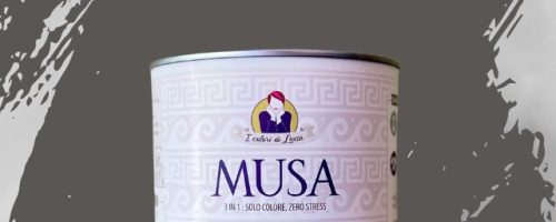 vernice musa 3 in 1